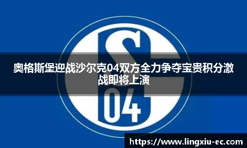 奥格斯堡迎战沙尔克04双方全力争夺宝贵积分激战即将上演